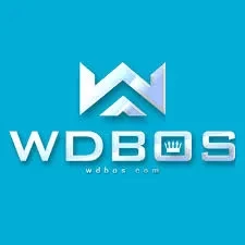 Review Aplikasi wdbos